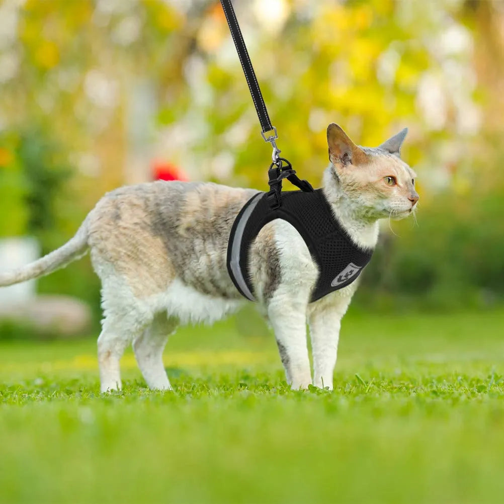 Reflective Pet Harness and Leash