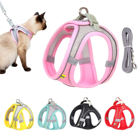 Cat Harness and Leash Set