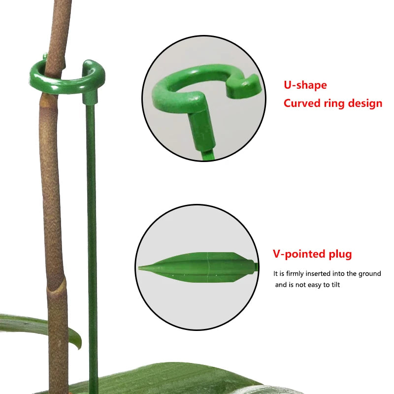 Plant Stand Support