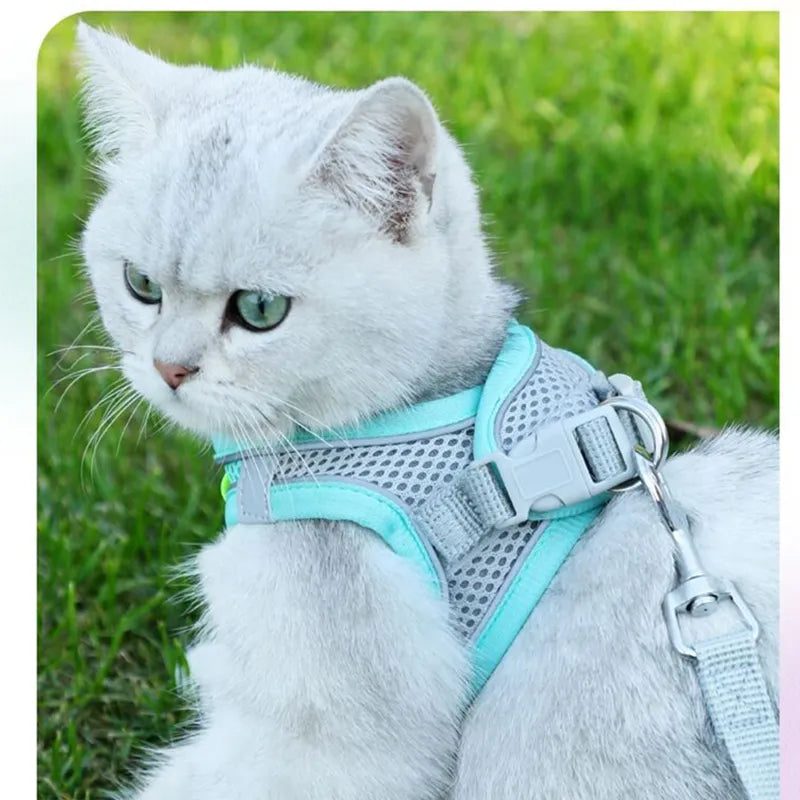 Cat Harness and Leash Set