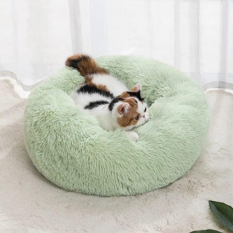 Donut Pet Bed