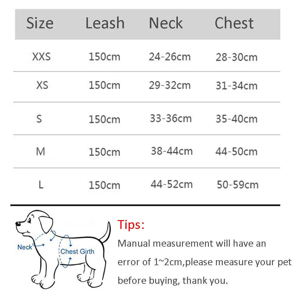 Cat Harness and Leash Set