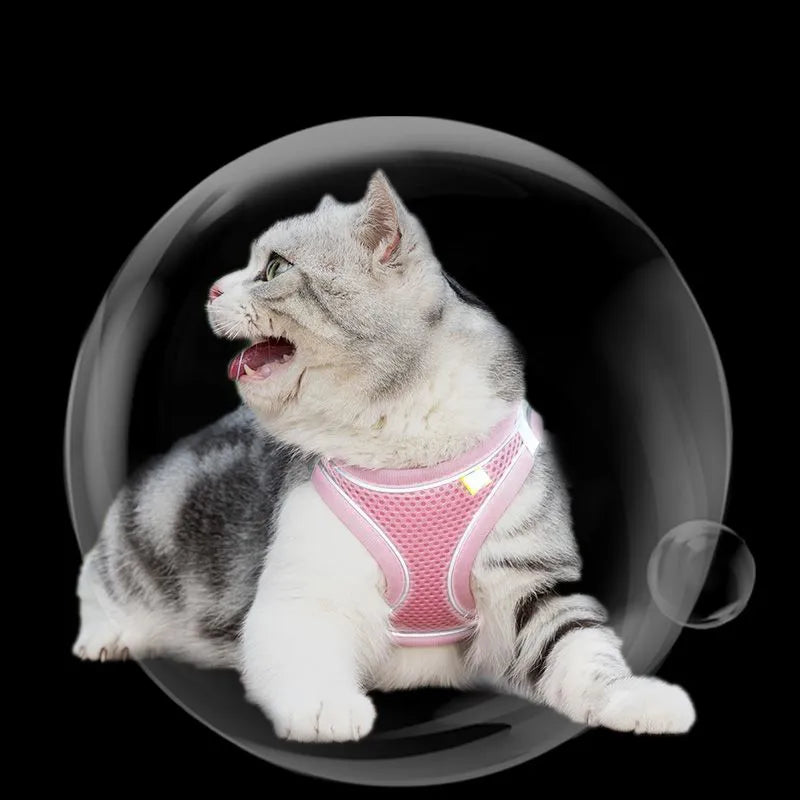 Cat Harness and Leash Set