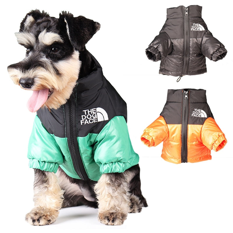 Windproof Jacket for Dogs